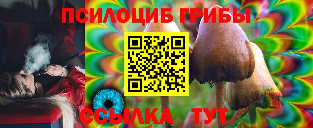 Галлюциногенные грибы мицелий Кропоткин
