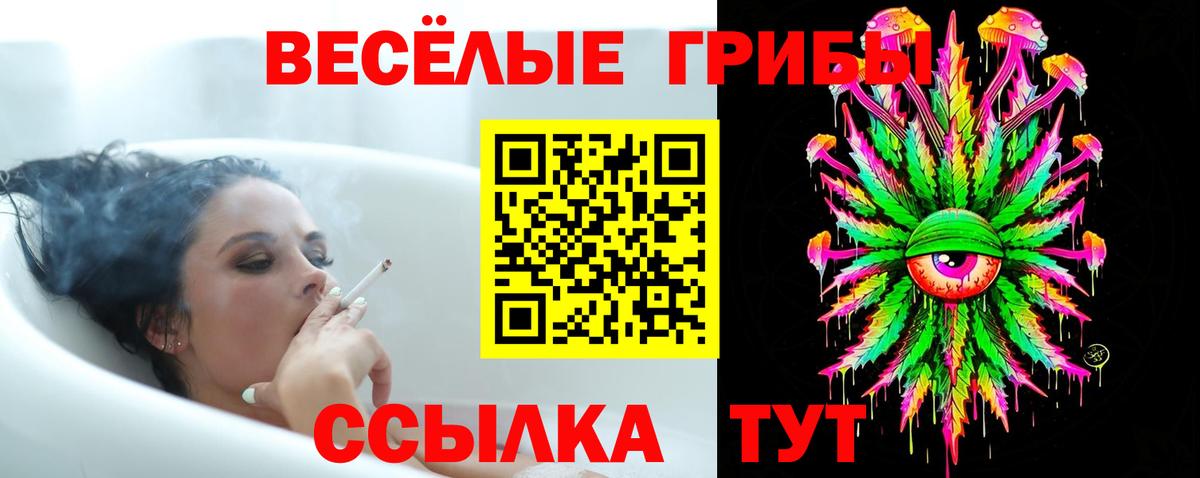 Псилоцибиновые грибы Psilocybe  Вход с VPN  Галлюциногенные грибы мухоморы  Кропоткин 
